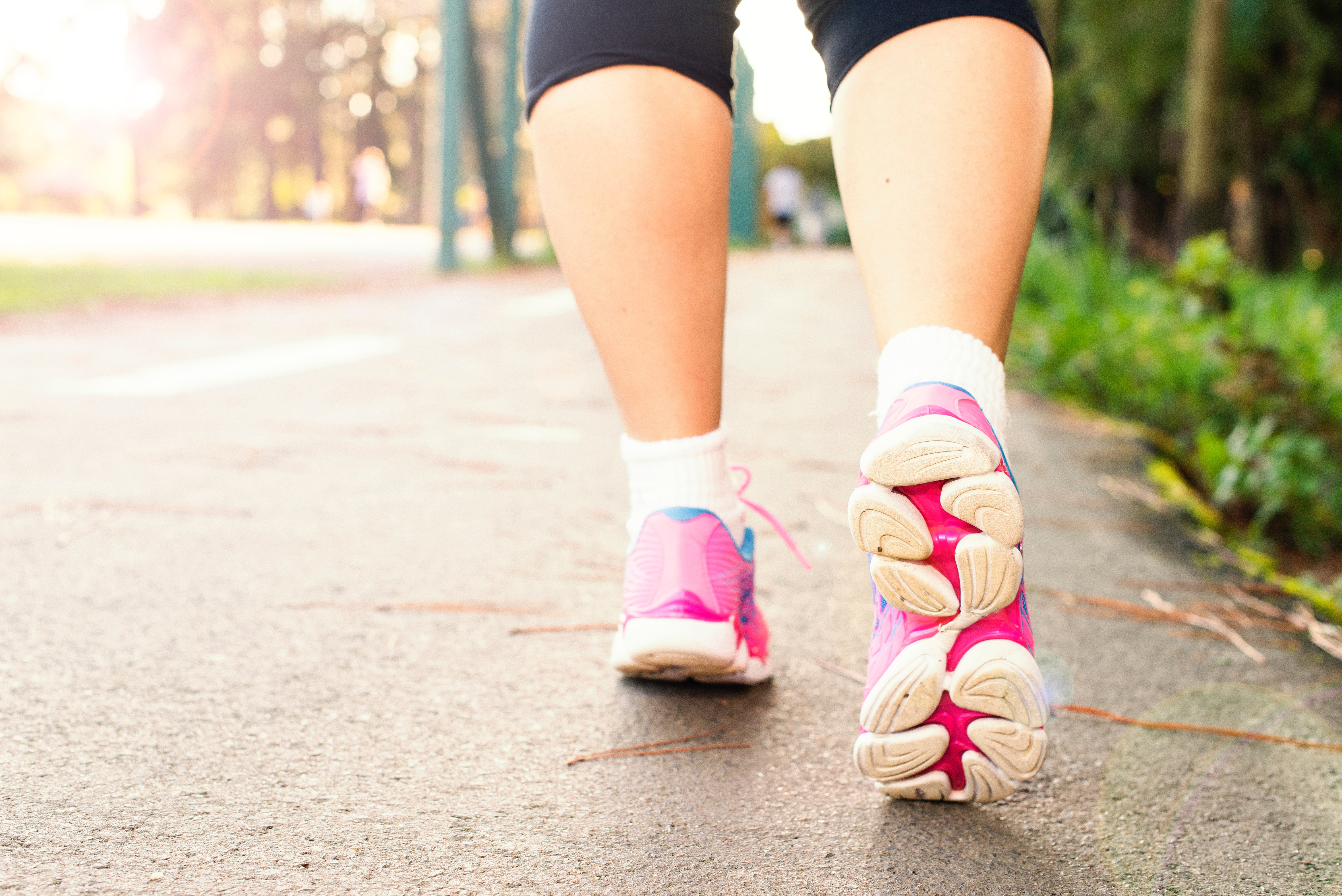 Image for Exercise and Physical Activity: Healthy Living